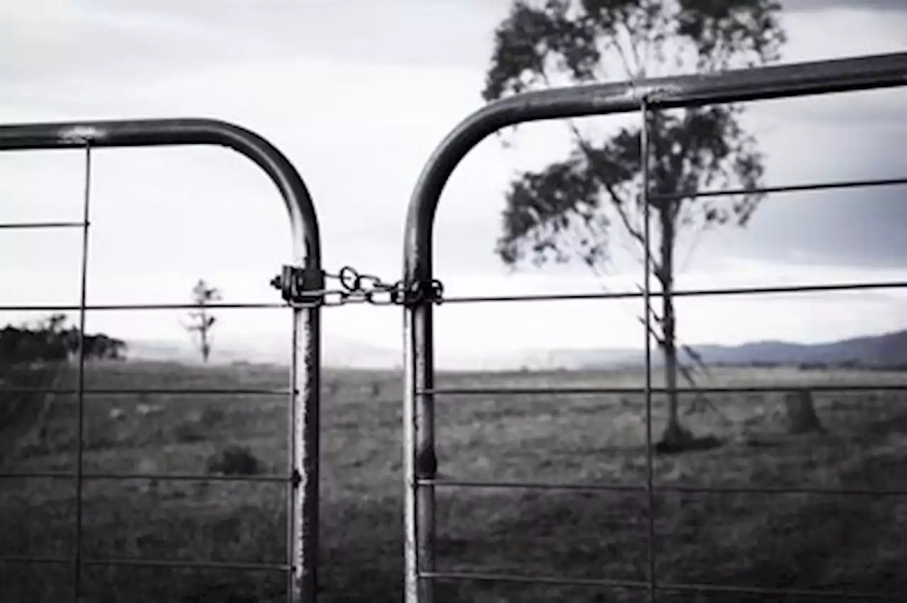 Farm murder declination due to underreporting - AfriForum