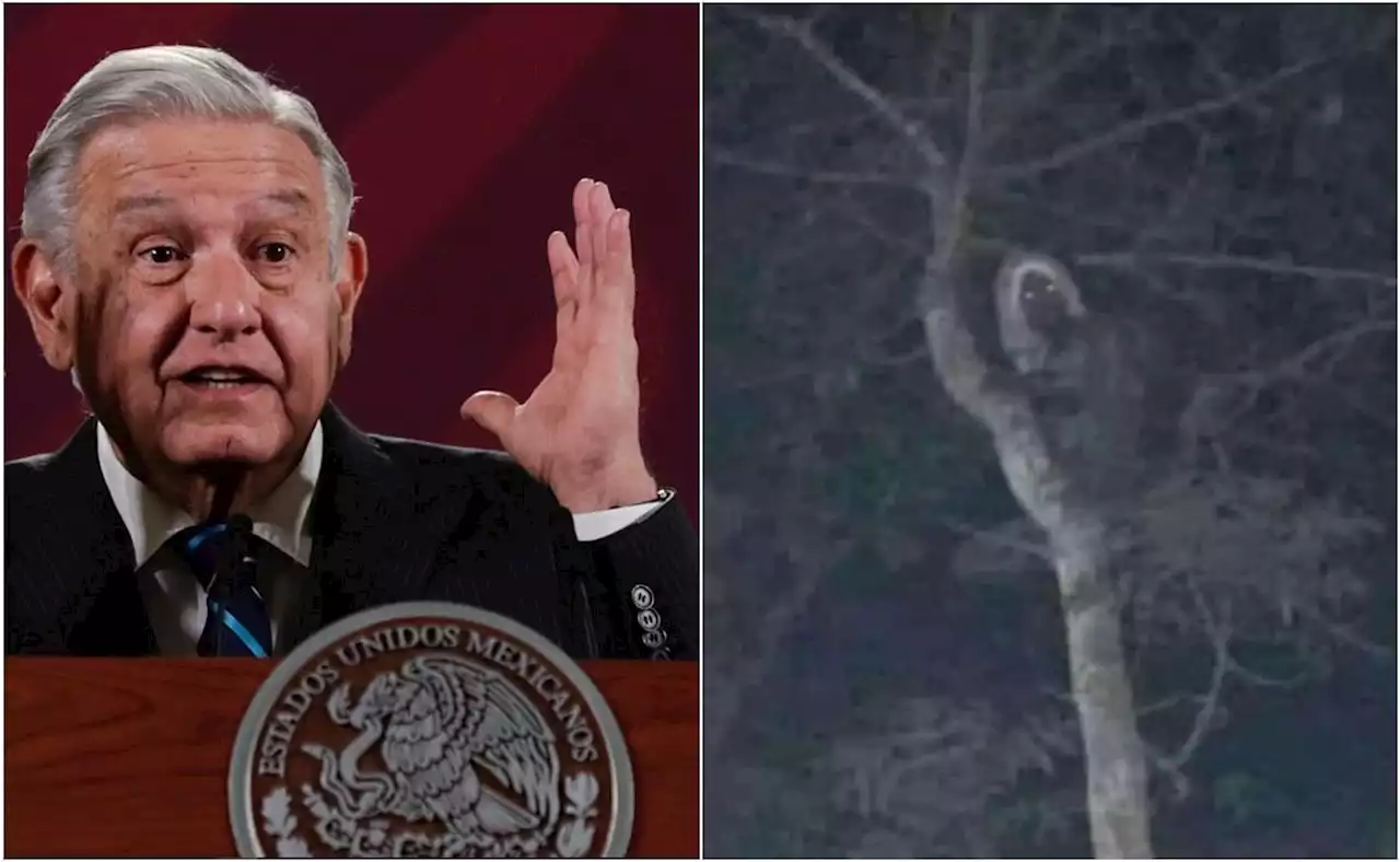 Twitter identifica foto de supuesto aluxe compartida por AMLO como fake