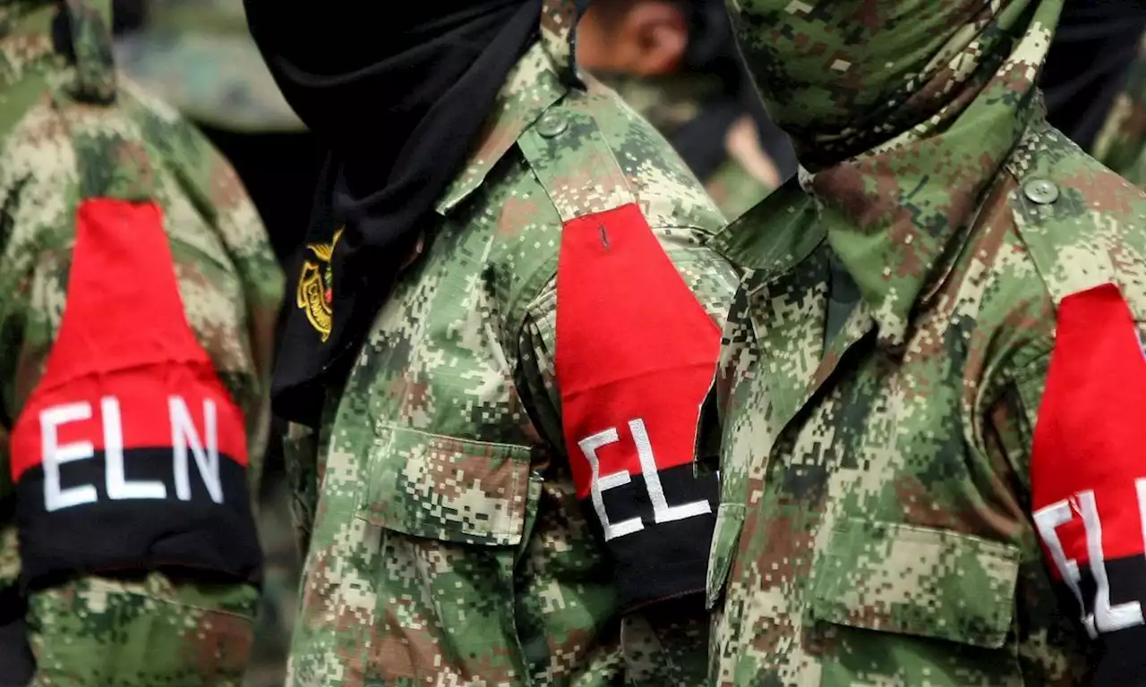 Estos son los grupos contra los que el Eln libra guerra a muerte por la coca