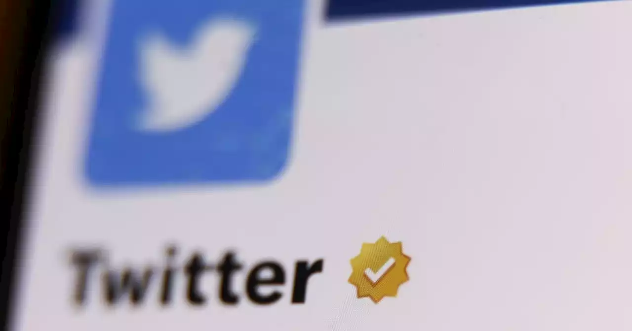 Twitter faces another global outage | Engadget