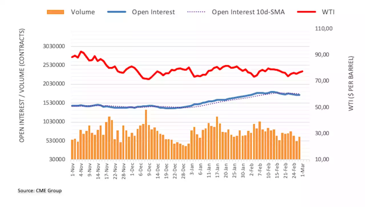 Crude Oil Futures: Further gains in the pipeline