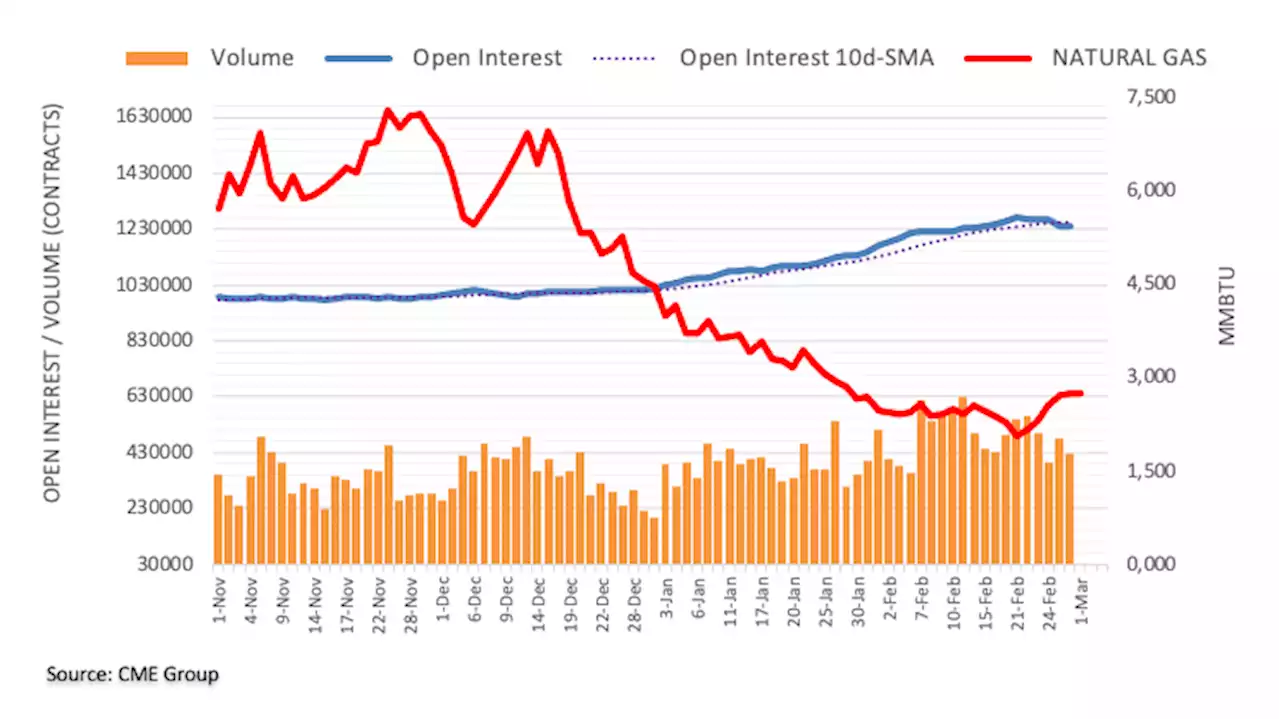 Natural Gas Futures: Correction in the offing?