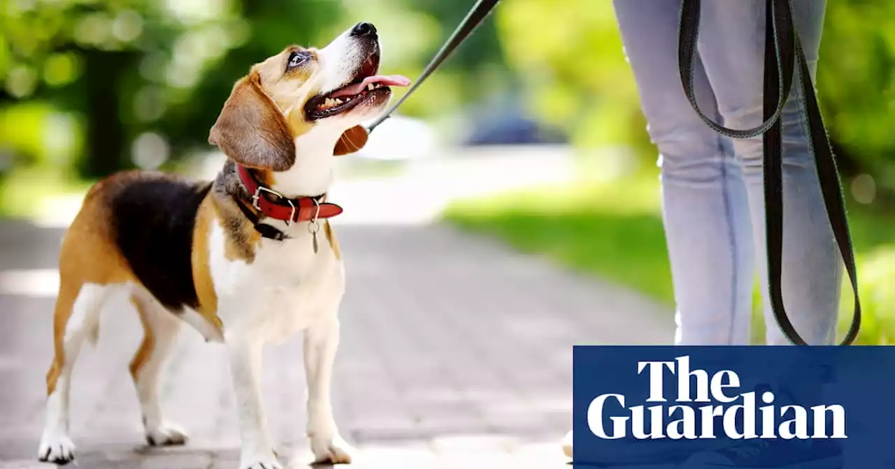 Walking just 11 minutes a day could stop 10% of early deaths, researchers find