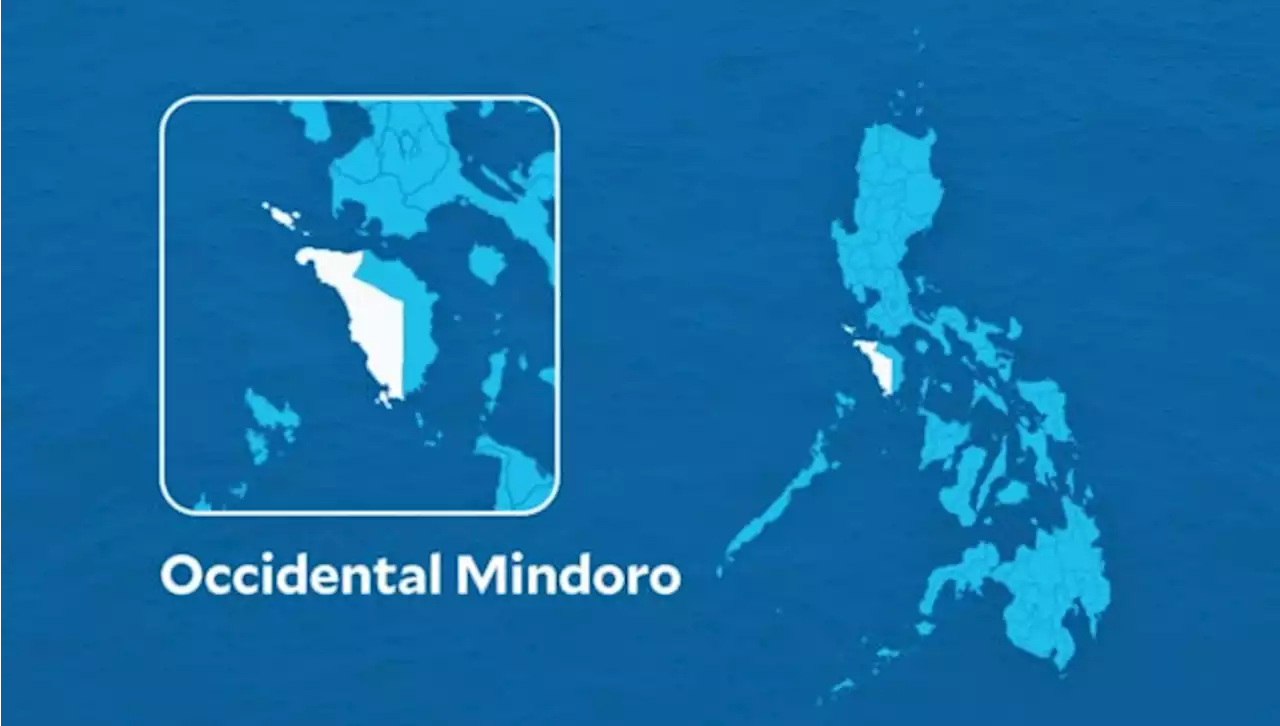 Firm blames red tape for Occidental Mindoro power crisis