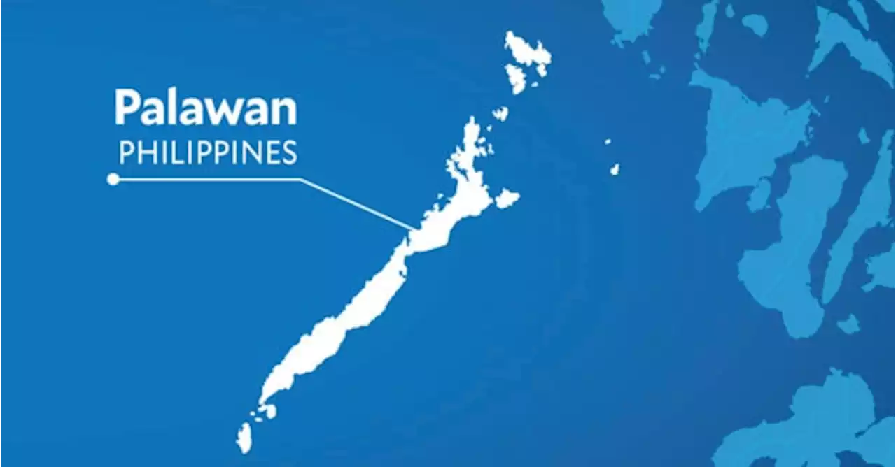 Medical chopper goes missing in Palawan, says CAAP