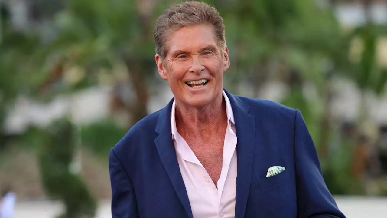 Hasselhoff sagt Tour ab: Wien und Graz betroffen