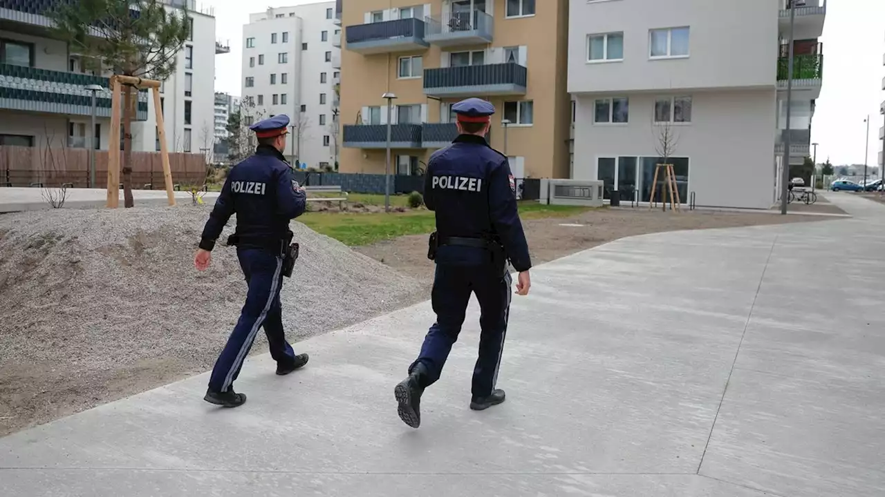 Mutter erstochen: 22-Jähriger bereits amtsbekannt