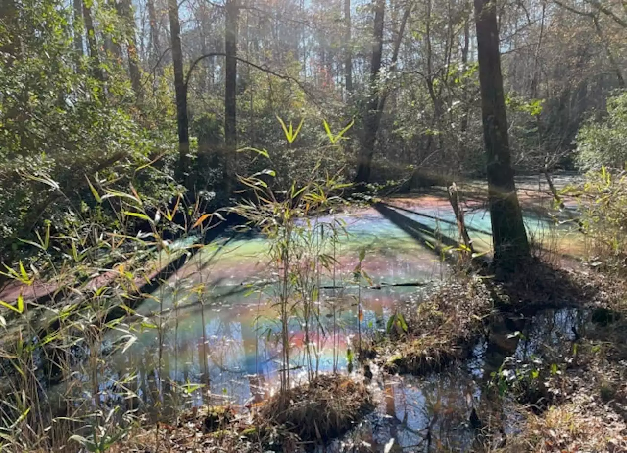 Rare natural phenomenon known as rainbow pool spotted at wildlife refuge