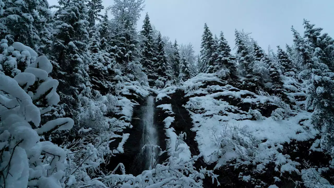 Winter storm warning in effect for much of Southeast Alaska, avalanche danger could increase rapidly