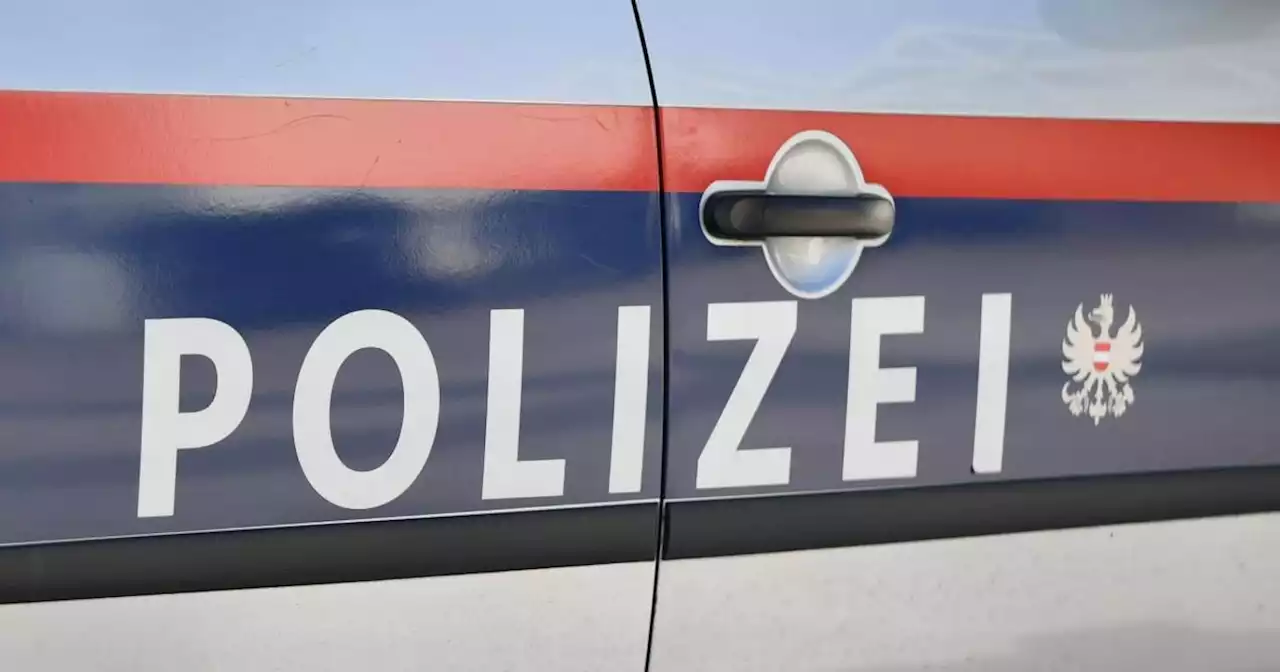 Mordverdacht in Wien-Liesing: Sohn soll Mutter erstochen haben