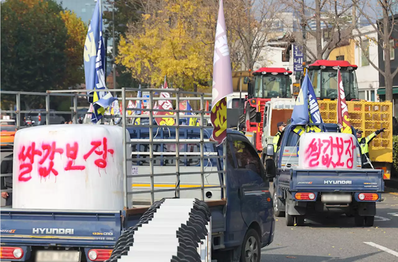 ‘풍년의 역설’ 쌀 가격 16개월 연속 하락…대책은 하세월