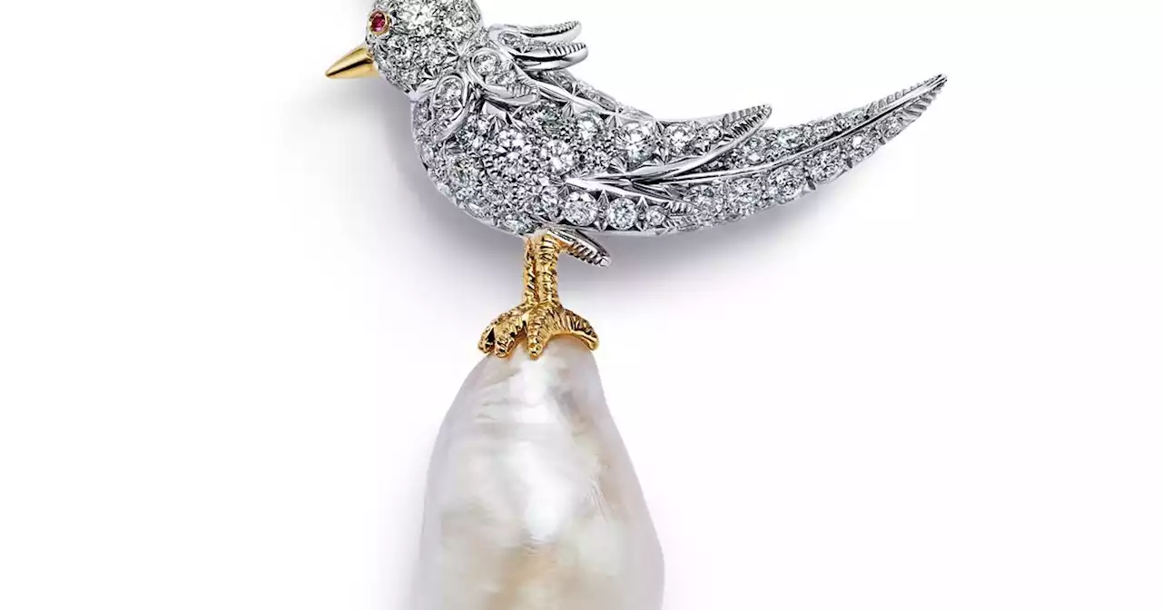 Tiffany & Co dévoile une collection de haute joaillerie avec des perles incroyables : Bird on The Pearl