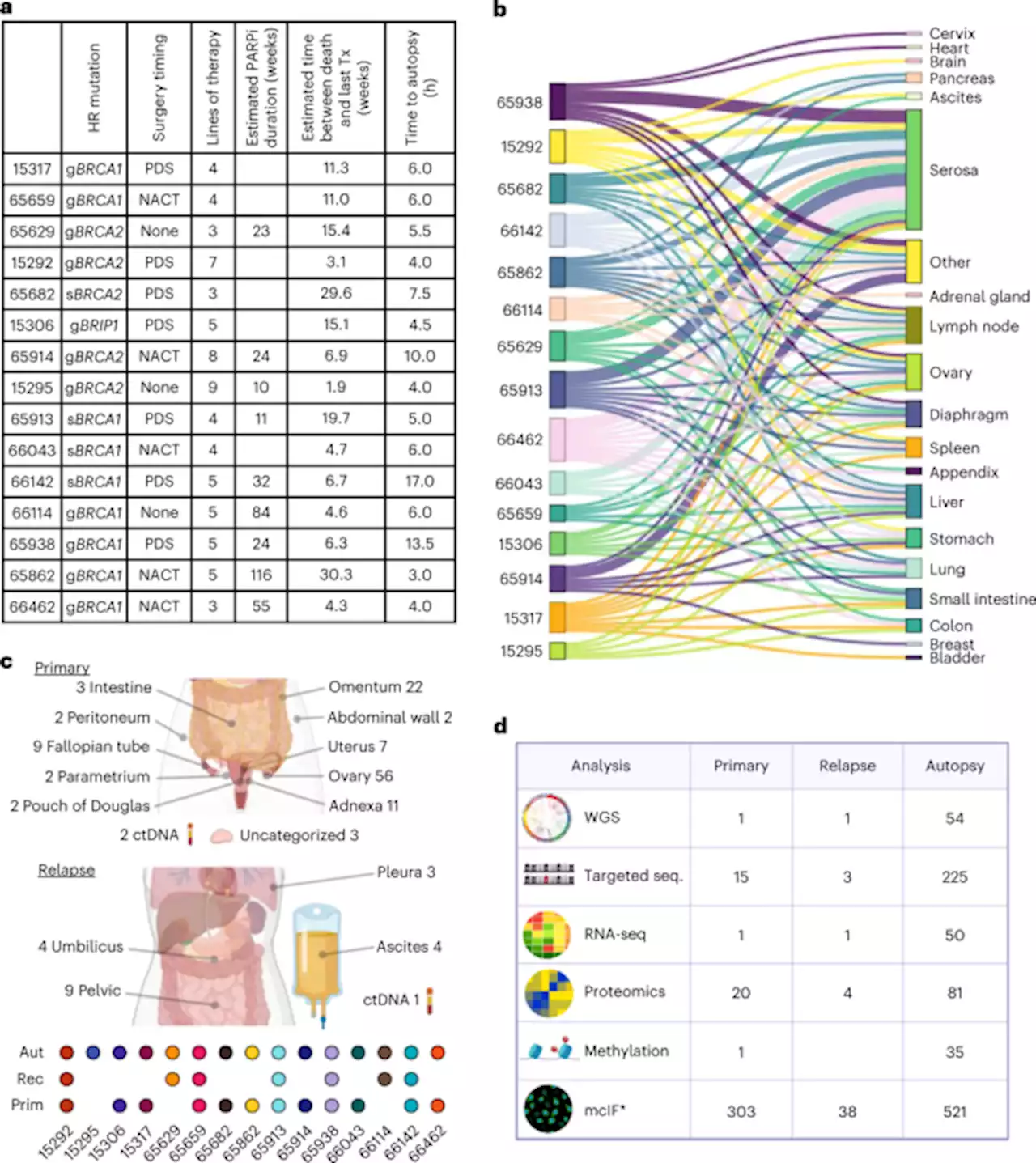 Multiomic analysis of homologous recombination-deficient end-stage high-grade serous ovarian cancer - Nature Genetics