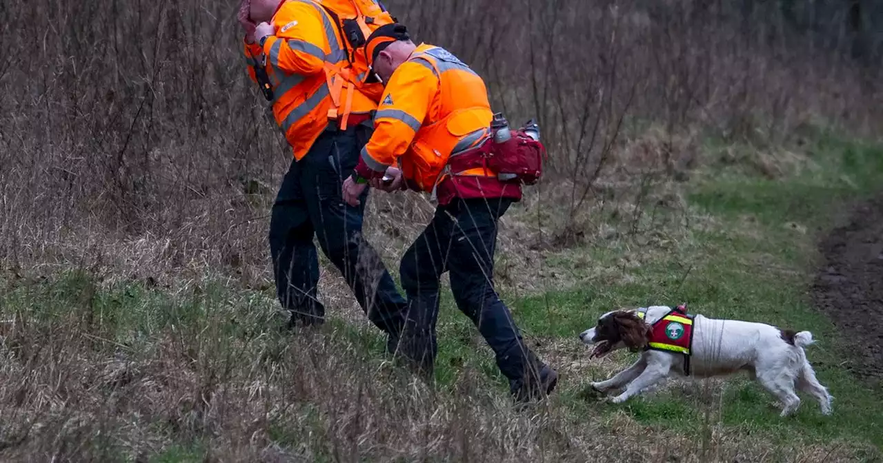 Remains found during search for baby of Constance Marten and Mark Gordon