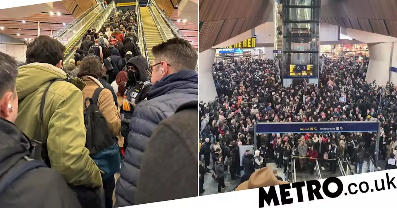 Commuters at London Bridge 'feared they'd be trampled on' at rush hour