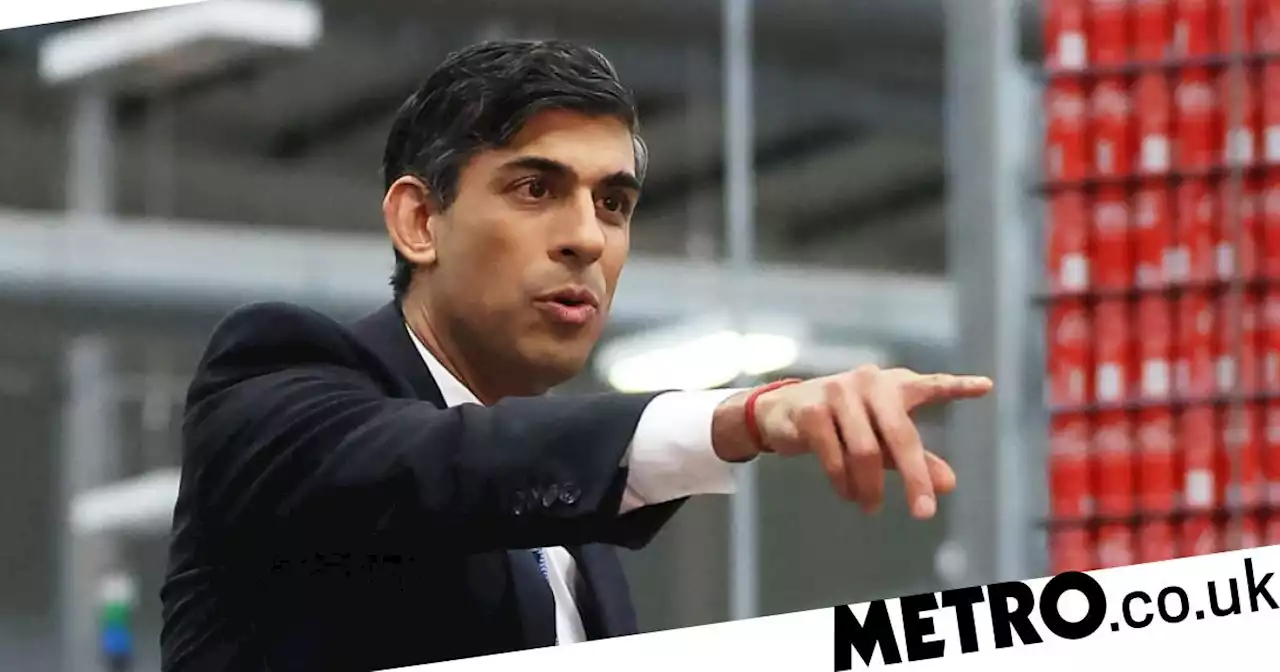 Rishi Sunak praises Northern Ireland's 'unbelievably special' access to EU