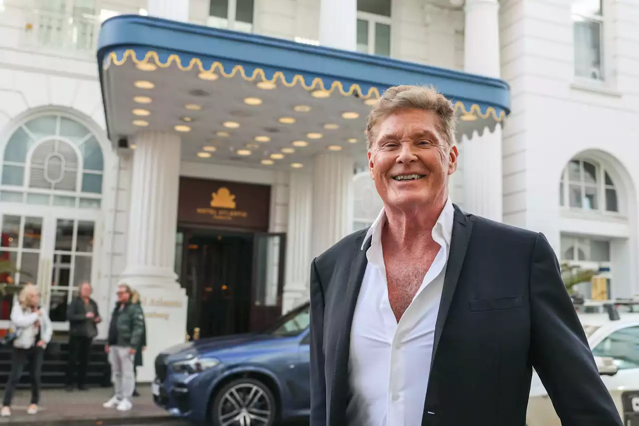 David Hasselhoff: Kurzfristige Tour-Absage!