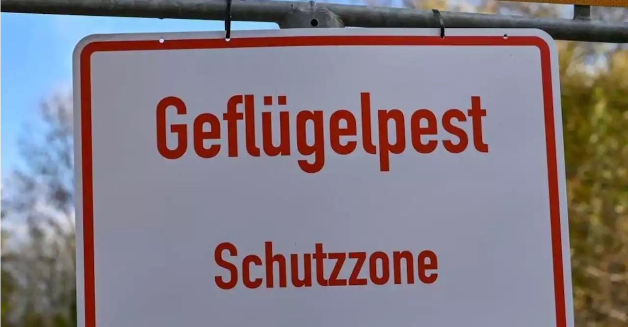 Vogelgrippe erreicht Kreis Kelheim: Ausbruch in Betrieb bei Train