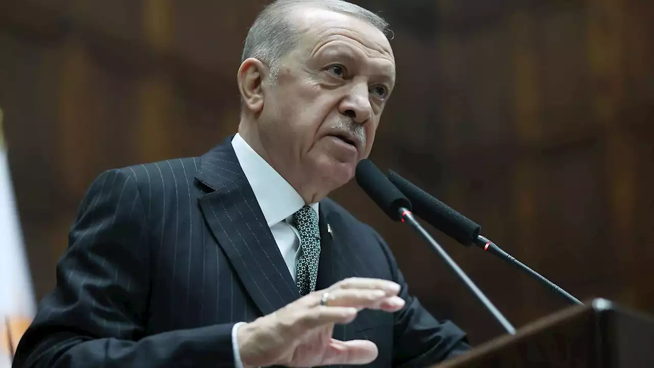 Erdogan bestätigt Termin für Präsidentschaftswahl