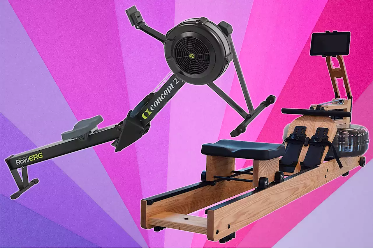 12 best rowing machines to upgrade your home gym in 2023, per experts