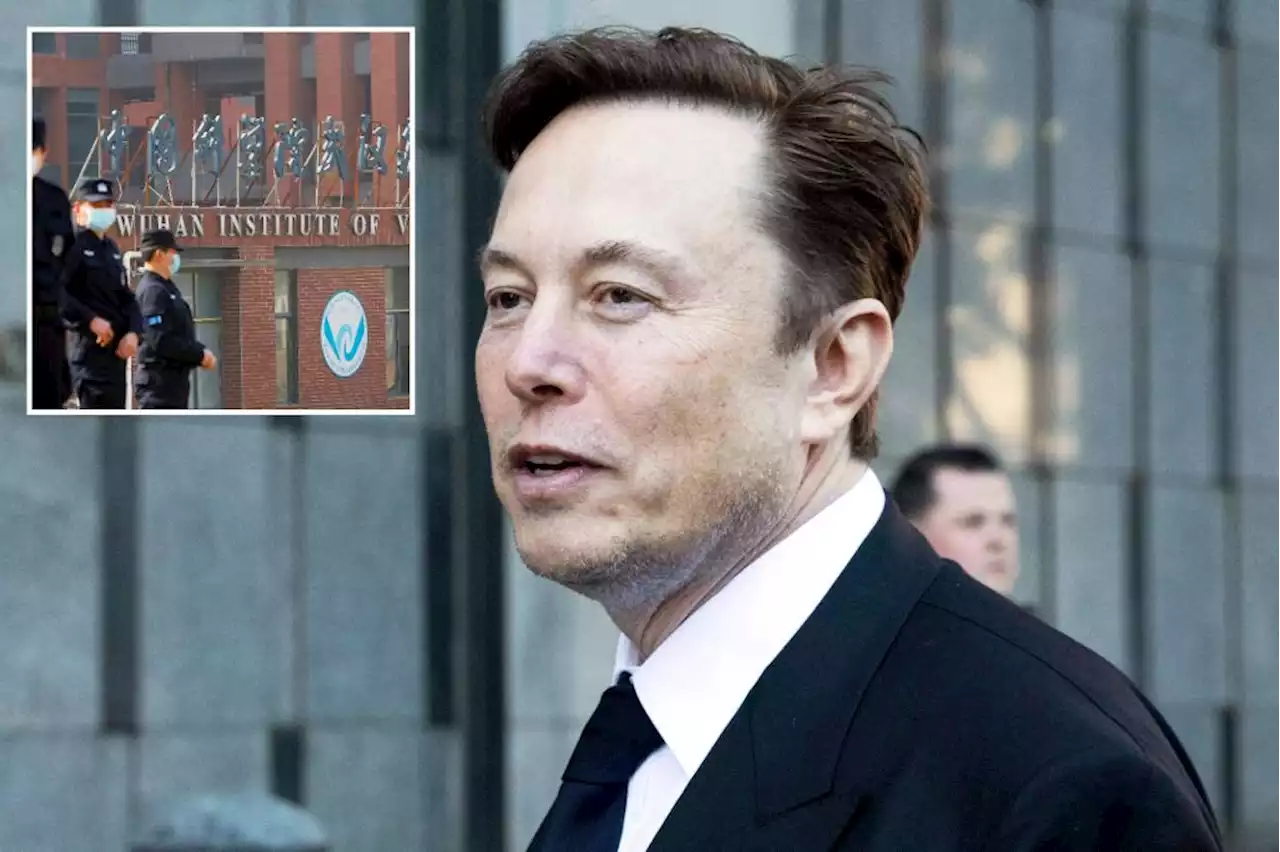 China cryptically warns Elon Musk about sharing posts on COVID lab leak theory