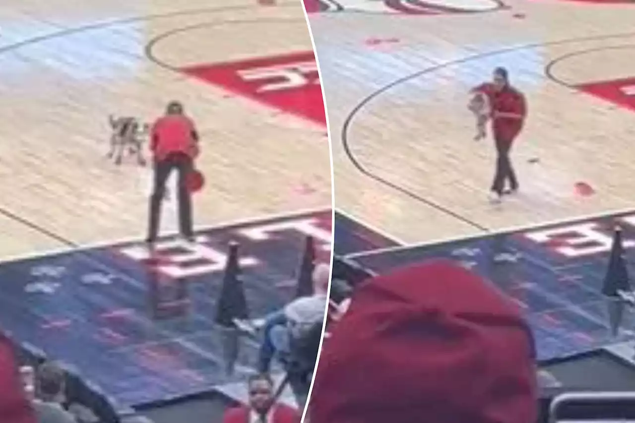 Dog poops on court at halftime of Louisville-Virginia Tech basketball game