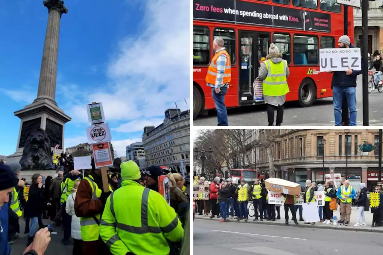 Mum brands ULEZ fee 'brutal' after joining protest