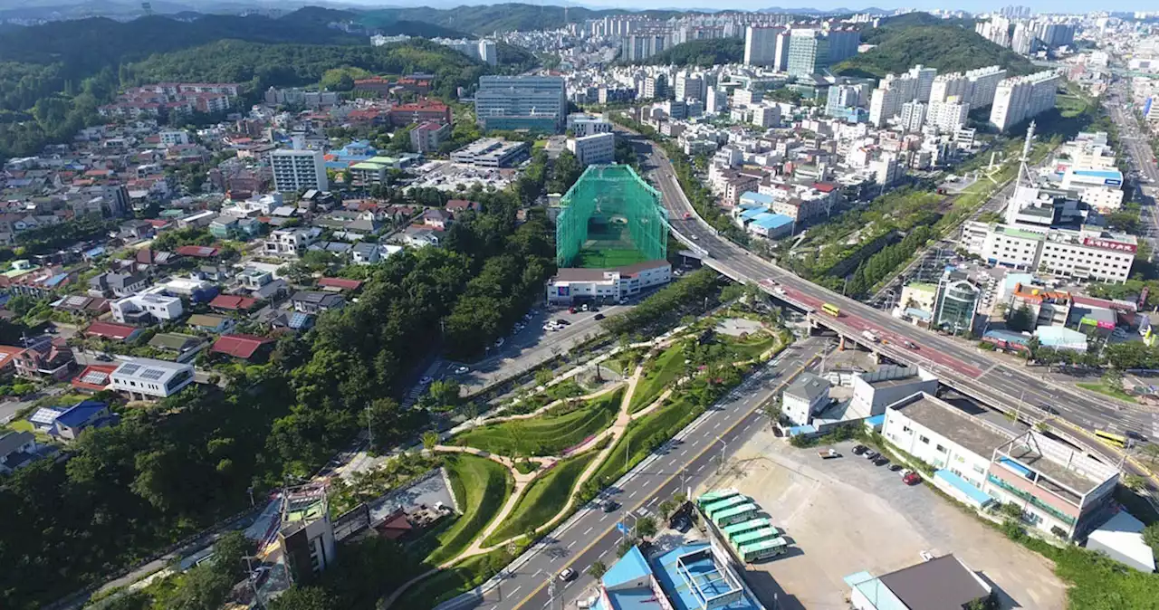 모범도시숲 인증 받을 만하네... 포항에 무슨 일?