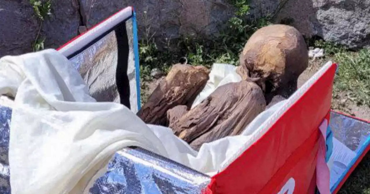 Pre-Hispanic mummy found in former delivery man's bag