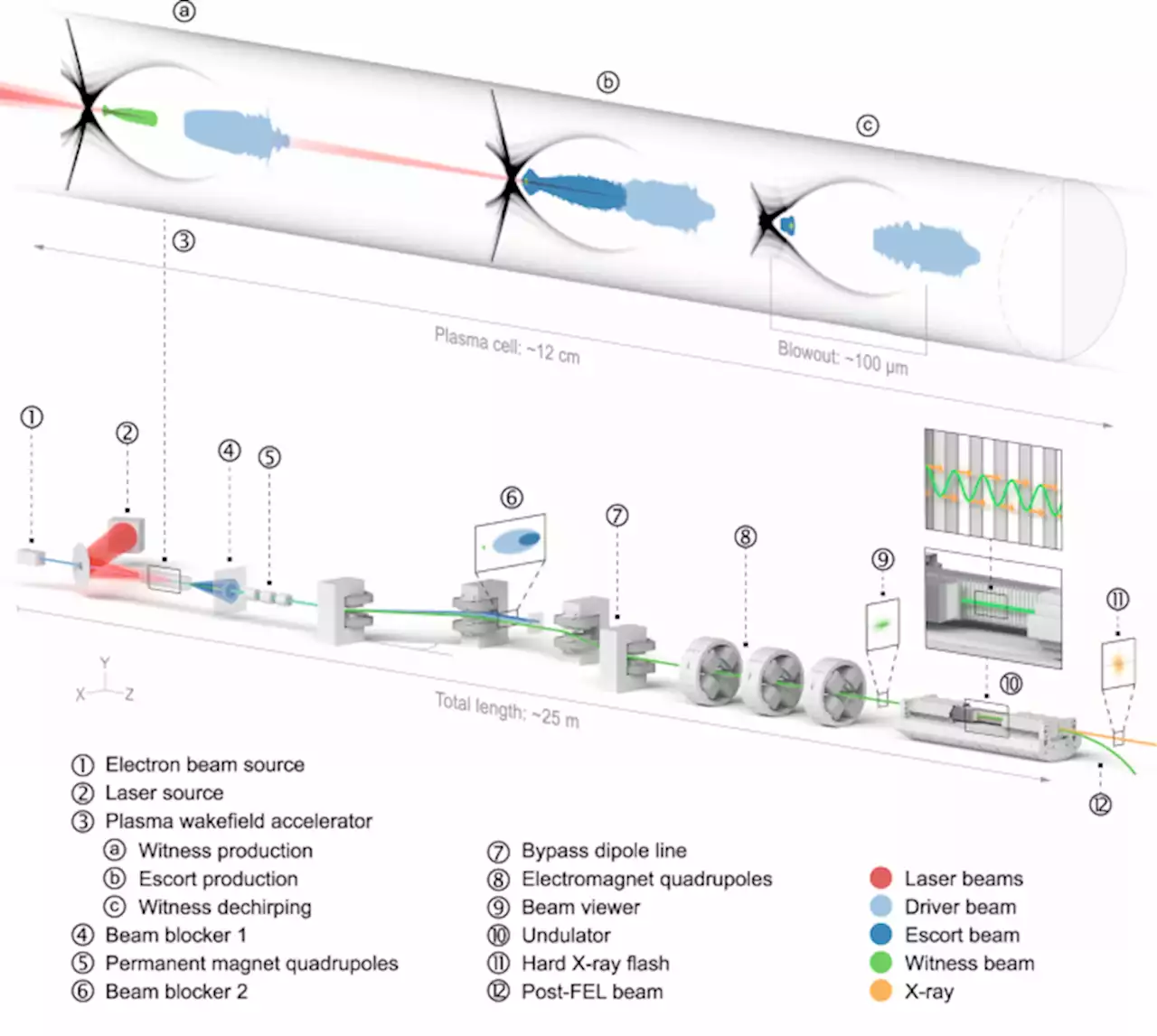 Attosecond-Angstrom free-electron-laser towards the cold beam limit - Nature Communications