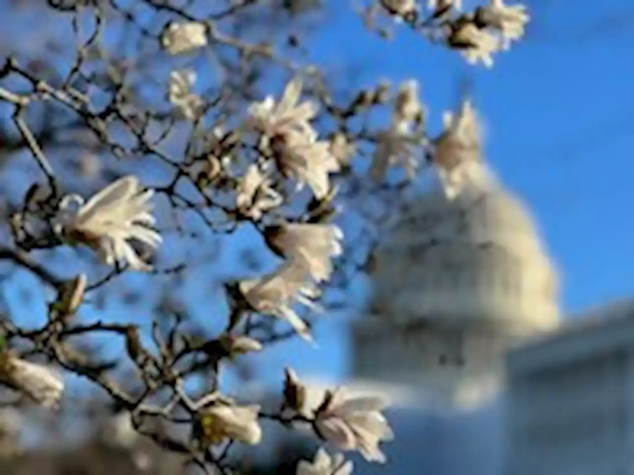 2023 is off to a record warm start in Washington — but it won’t last