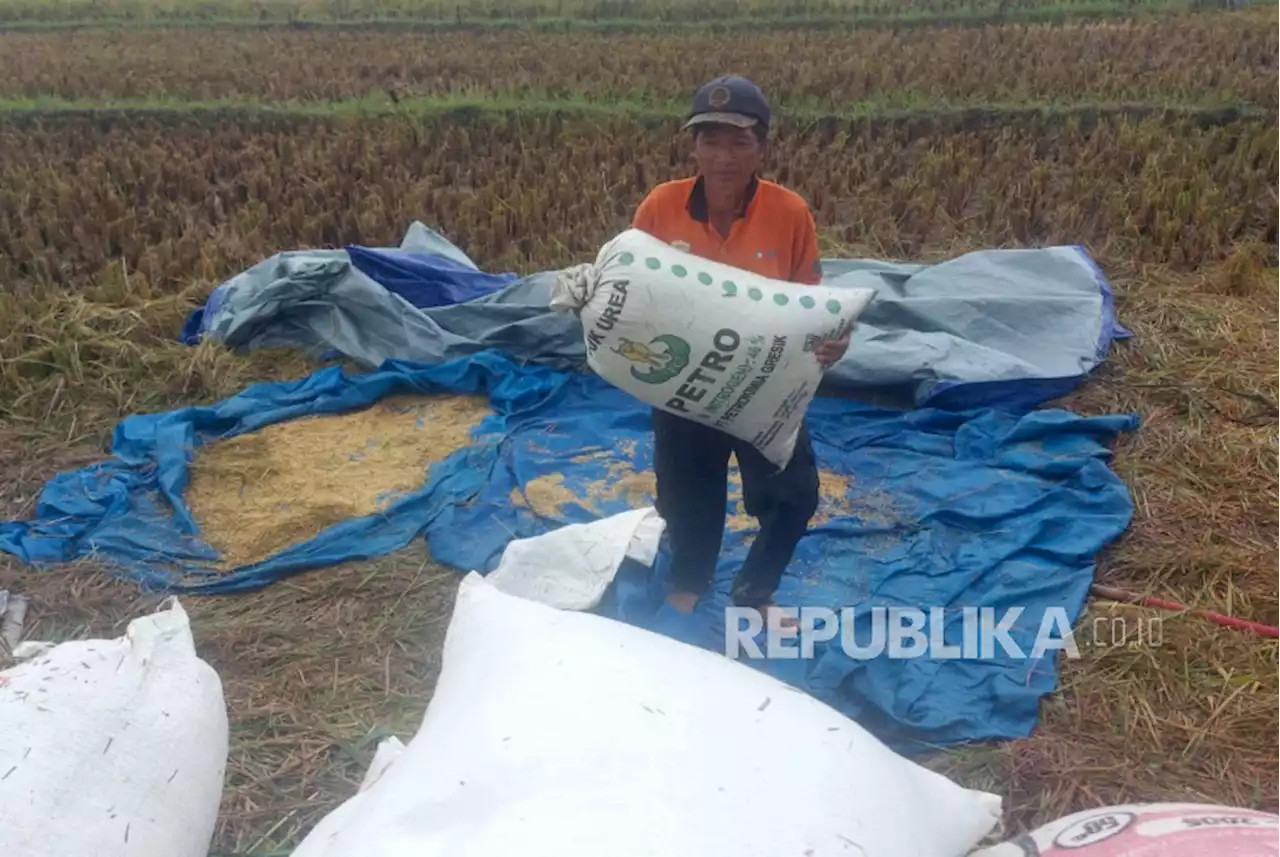 Nilai Tukar Petani 110,53 Poin, Tertinggi dalam Tiga Tahun Terakhir |Republika Online