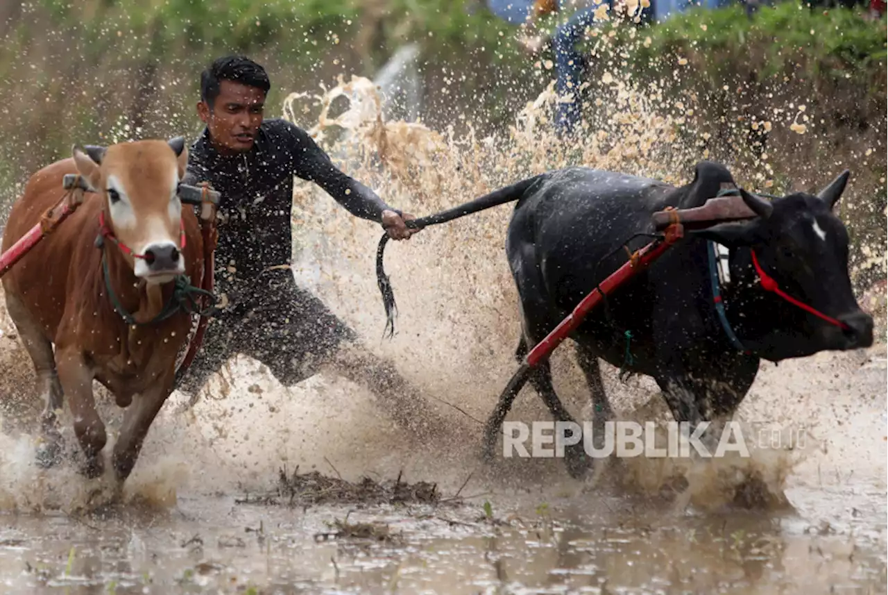 Tanah Datar Targetkan Dua Juta Kunjungan Wisatawan pada 2023 |Republika Online