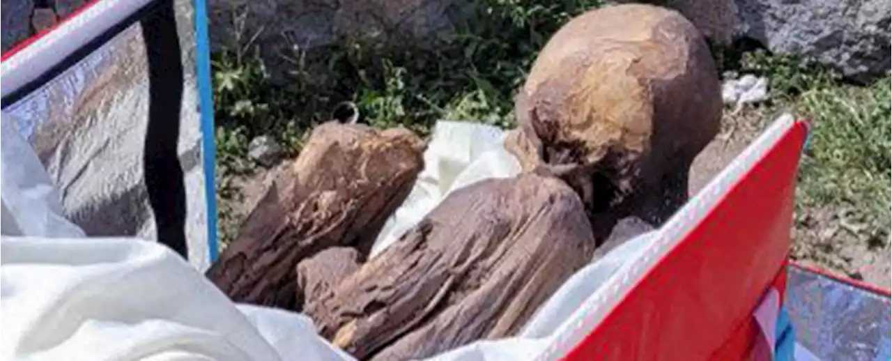 Former Delivery Man Found With a 600 Year Old Mummy 'Girlfriend' in His Cooler Bag