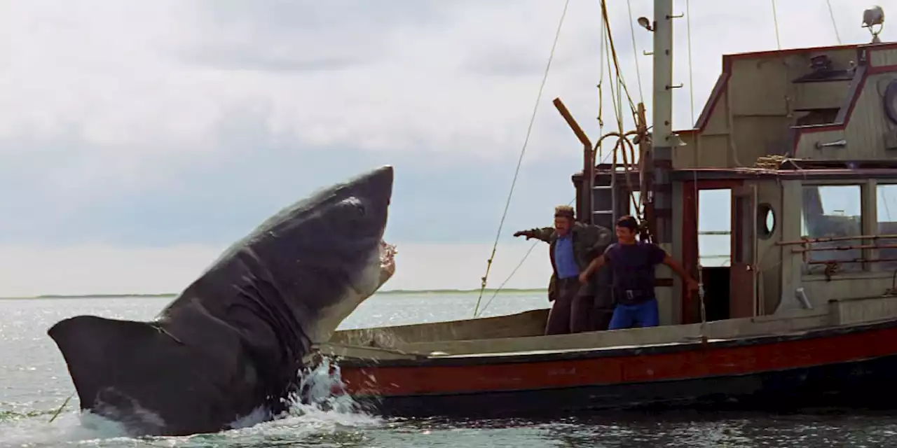 Steven Spielberg Thought The Shark In Jaws Looked Dumb