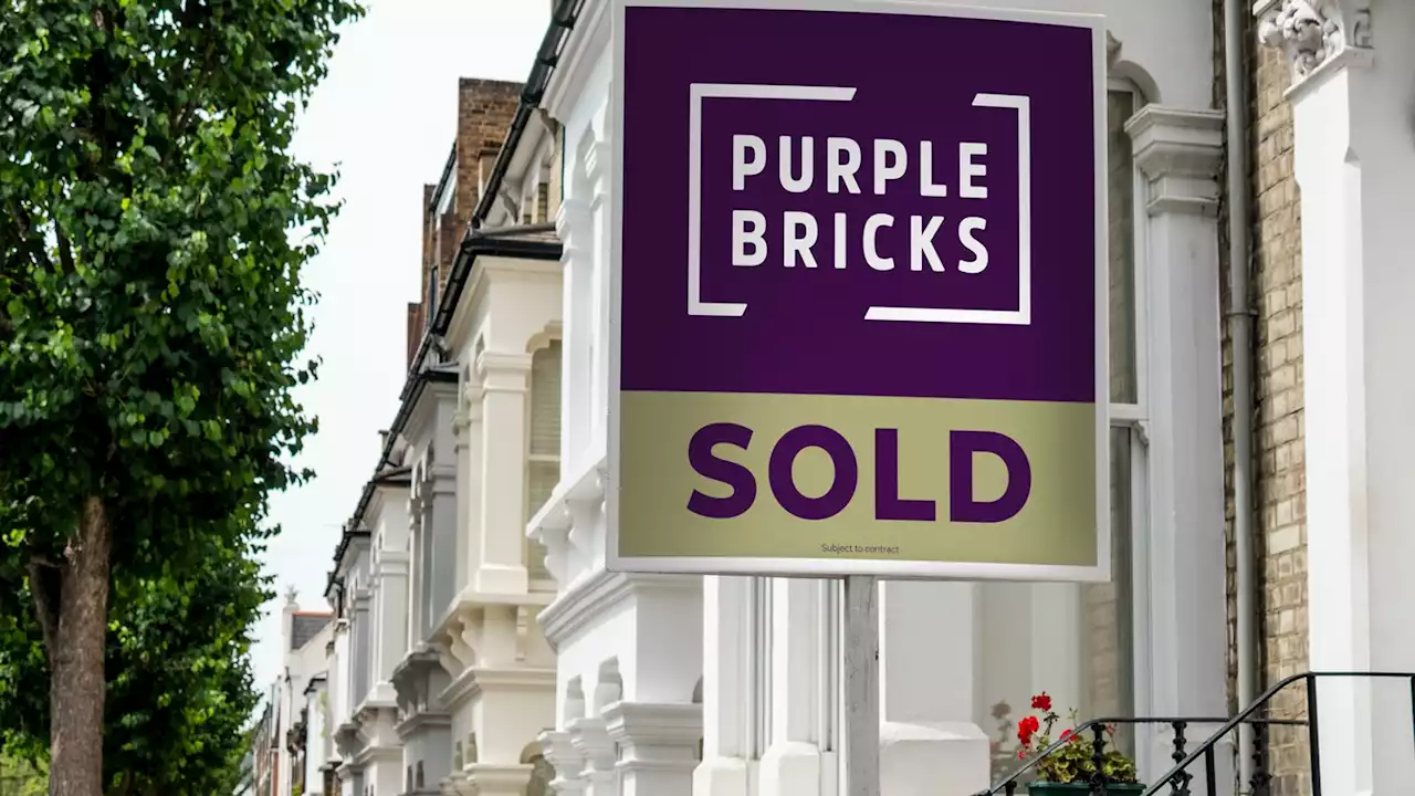 Purplebricks founder Bruce weighs moving back into online estate agent