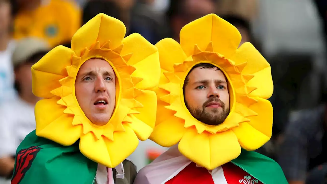 St David's Day: Wales celebrates its patron saint in annual celebrations