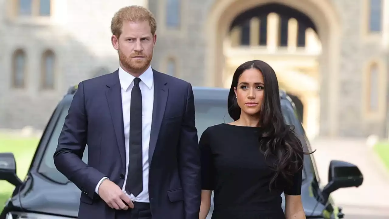 Prince Harry and Meghan cop lashing for their 'mission of destruction' plan