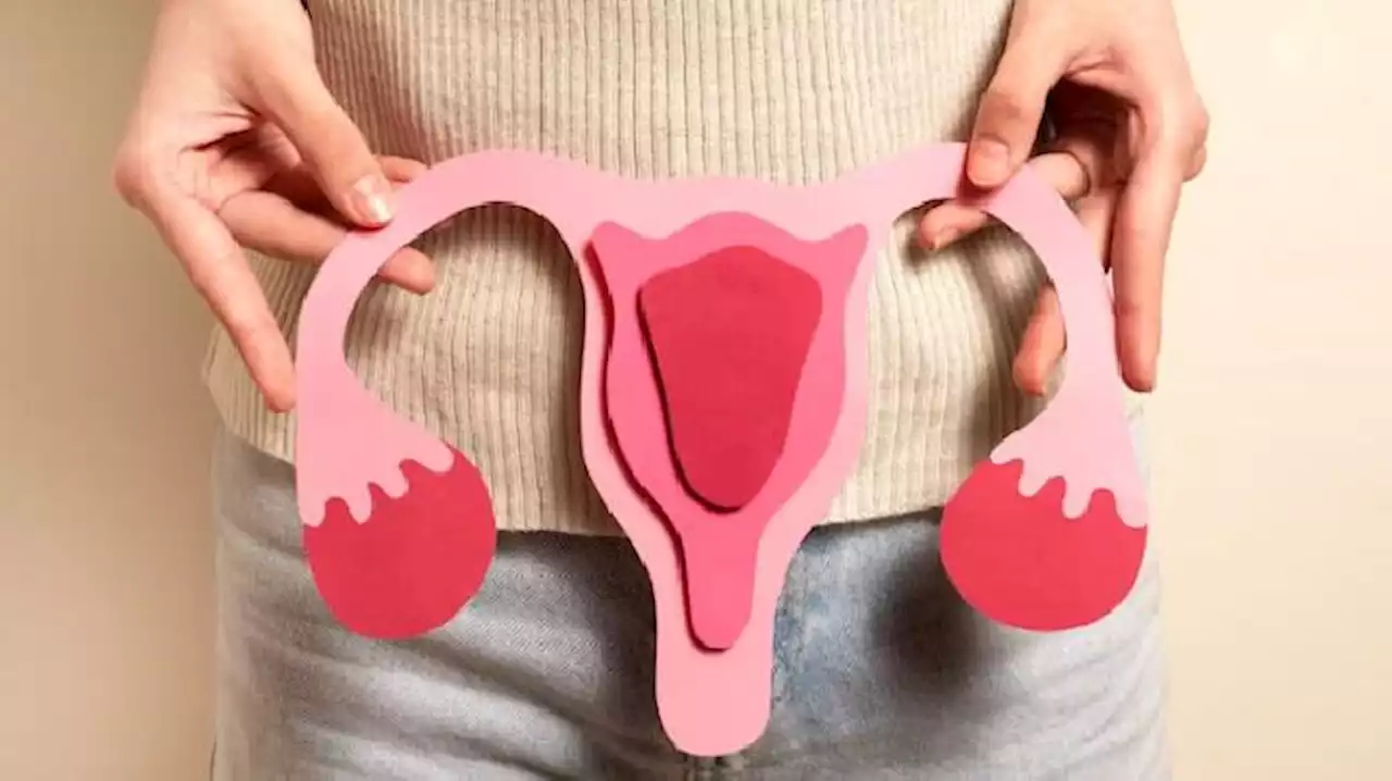 Mengenal Polycystic Ovarian Syndrome (PCOS) dan Gejalanya