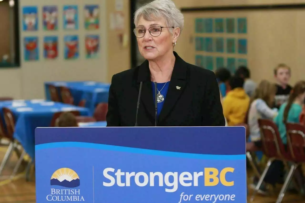 Health care, housing and grants top B.C.’s 2024 Budget Day promises - Terrace Standard