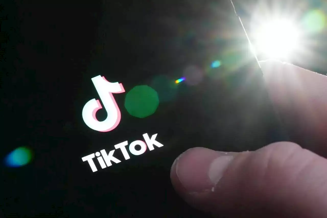 Liberals, Conservatives, NDP start stepping back from TikTok video app - Terrace Standard