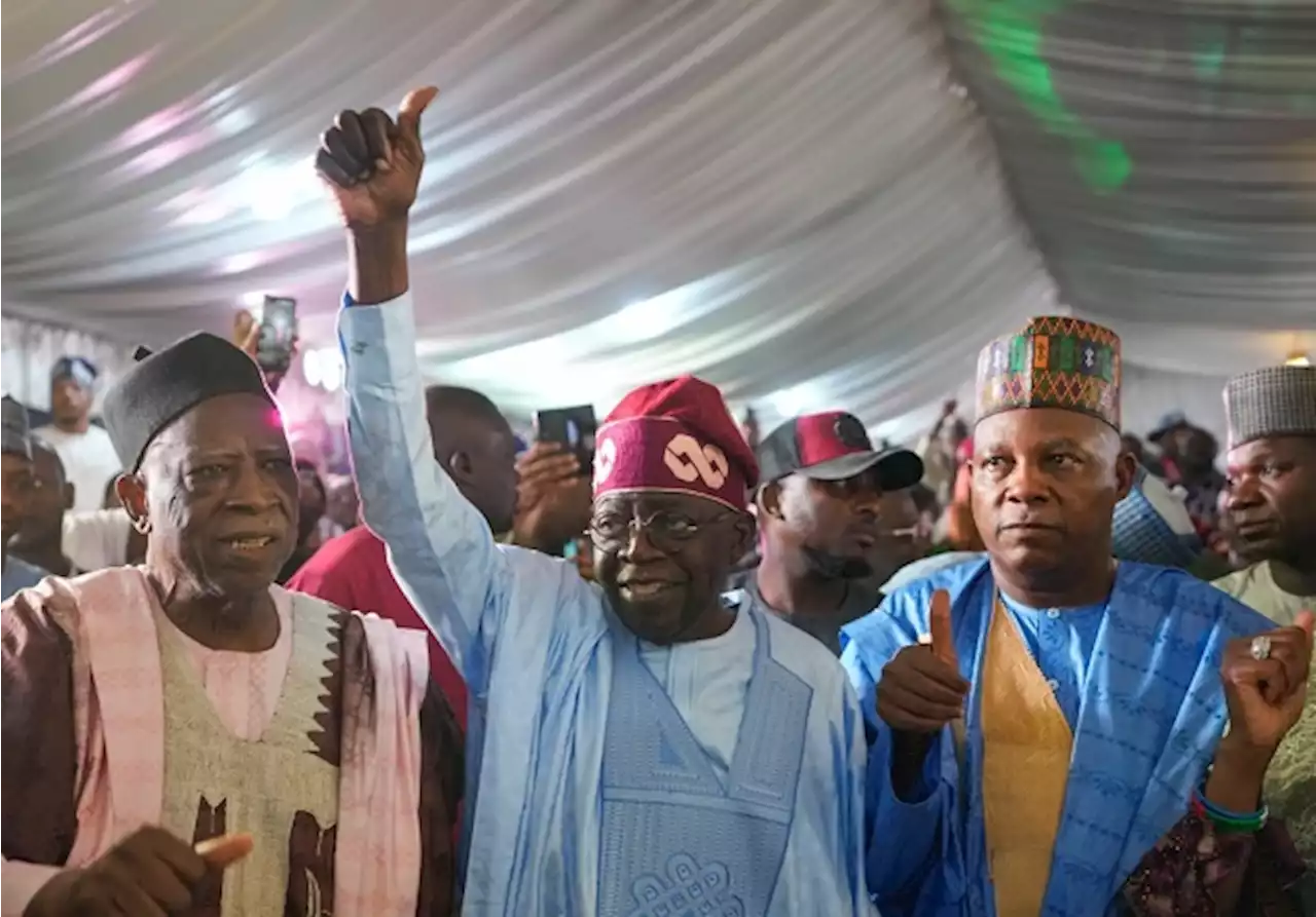 Arewa forum to Tinubu: Ignore voting patterns | Treat the country as one | TheCable