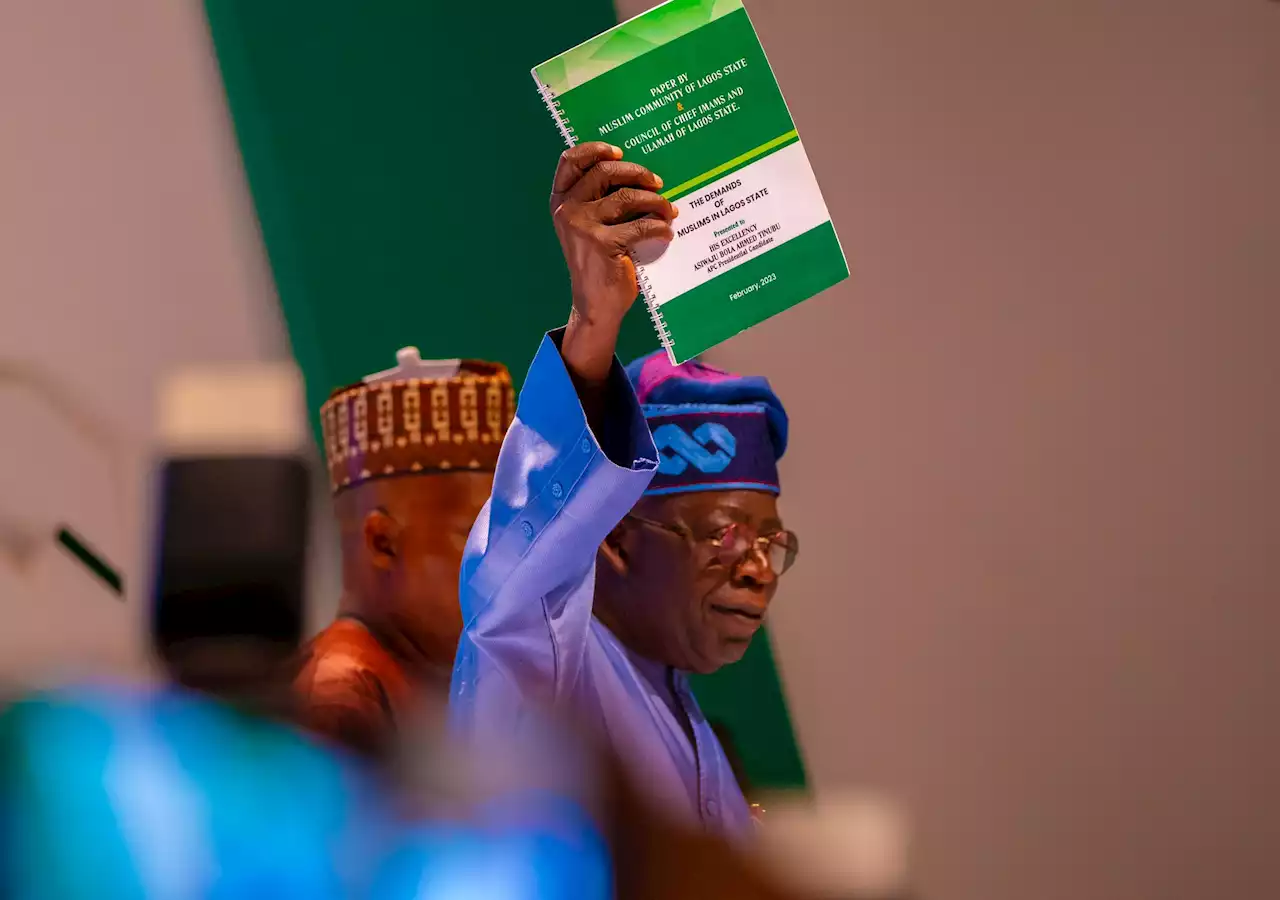 FULL TEXT: 'Renewed hope has landed in Nigeria' -- Tinubu's acceptance speech as president-elect | TheCable