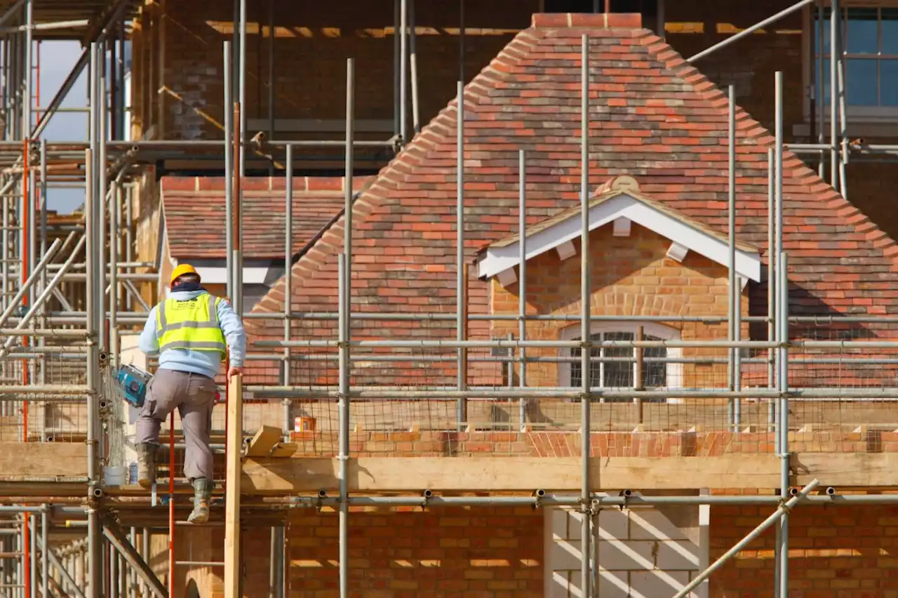 ‘Widespread’ concerns about housing availability and costs sparks regulator inquiry