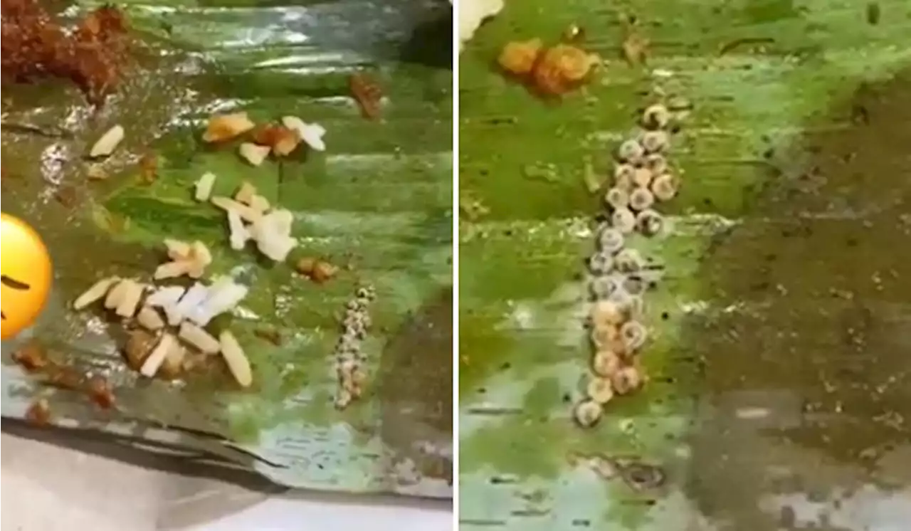 [Watch] Woman Buys Nasi Lemak, Gets A Surprise Instead | TRP