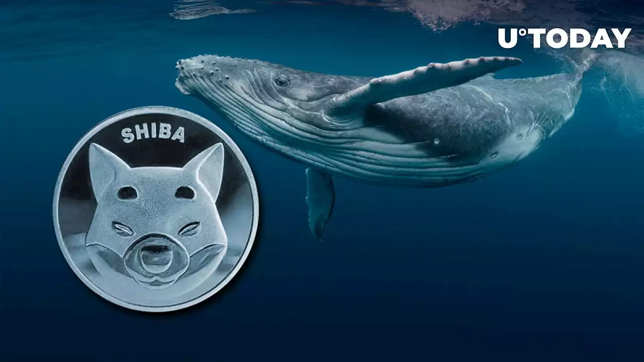 90 Billion Shiba Inu Grabbed by SHIB Whales as They Prepare for Shibarium Launch