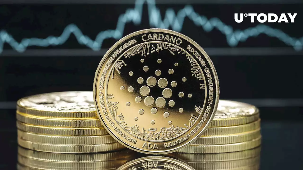 Cardano (ADA) Price Slip Deepens, Here Are Likely Beneficiaries of This Trend