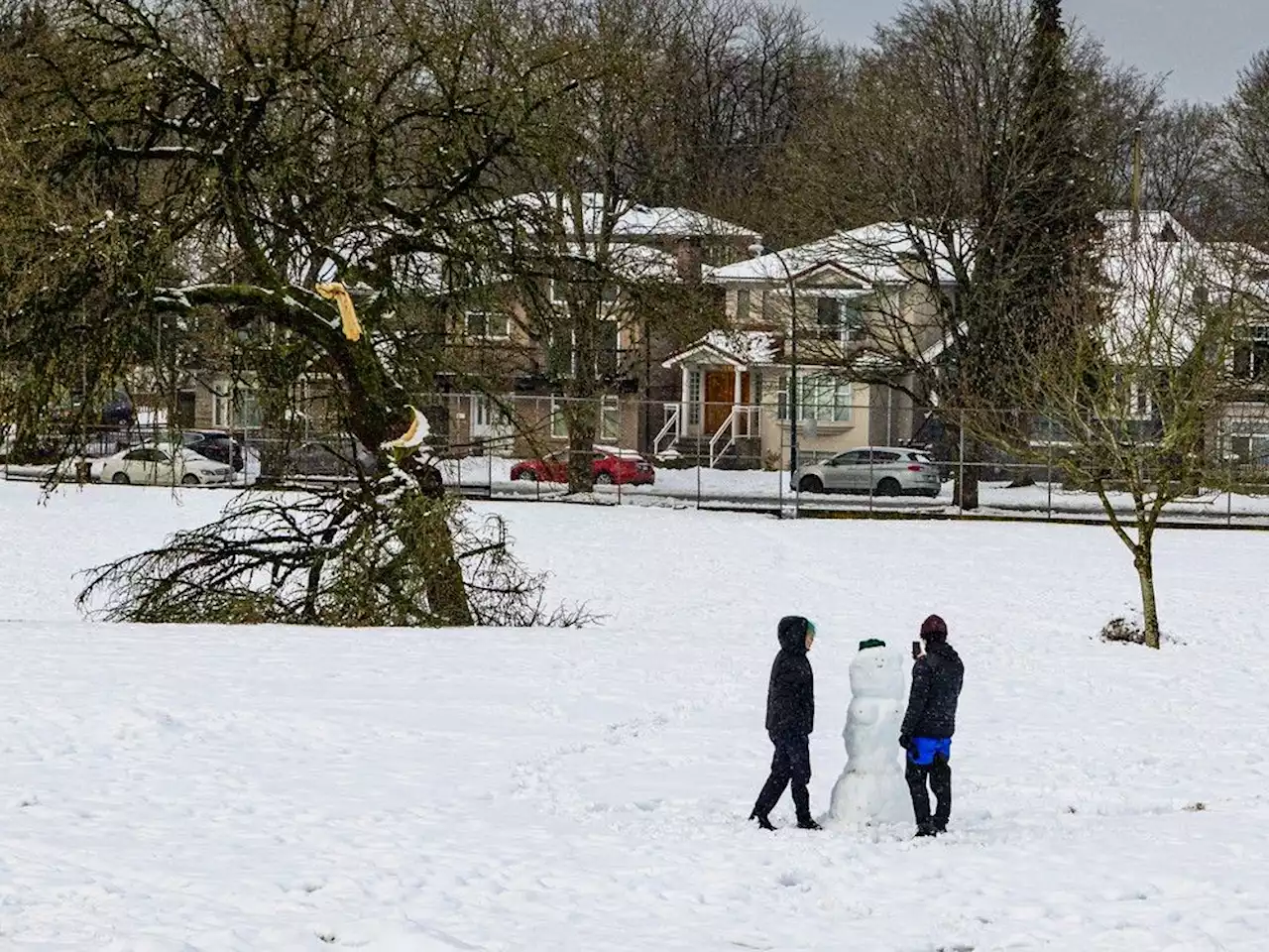 Metro Vancouver: More snow forecast for Wednesday, but mostly at higher elevations