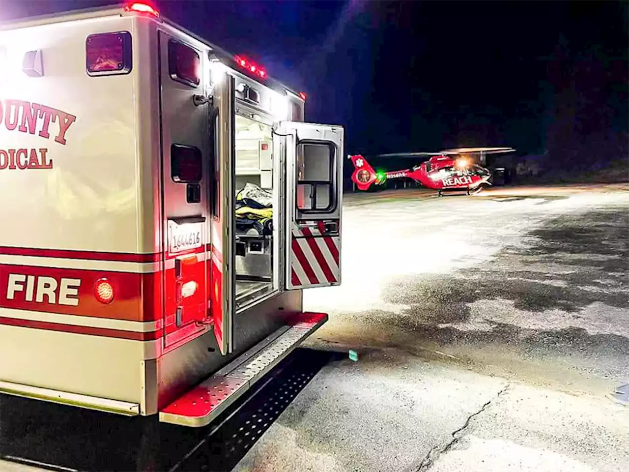 Pet cat leads rescuers to man who had fallen down waterfall