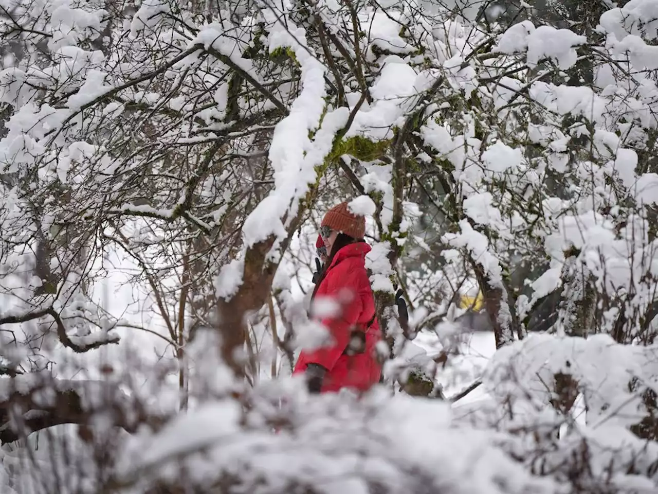 Spring on the doorstep, but winter storms threaten Metro Vancouver, parts of B.C.